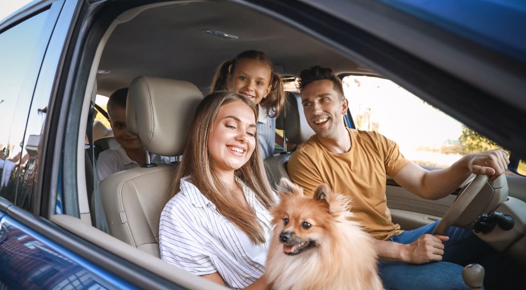 viajar de carro